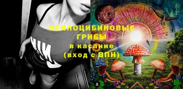 ГАЛЛЮЦИНОГЕННЫЕ ГРИБЫ Михайловск