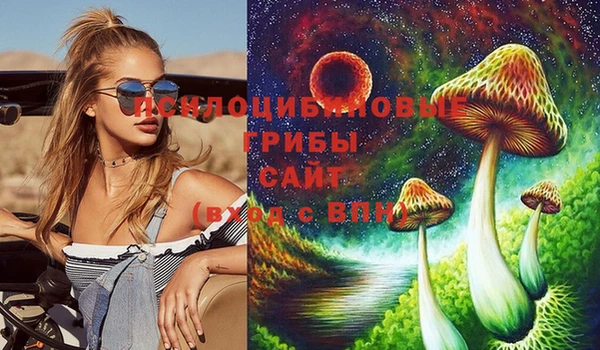 а пвп мука Мегион