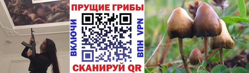 Галлюциногенные грибы прущие грибы darknet официальный сайт Николаевск